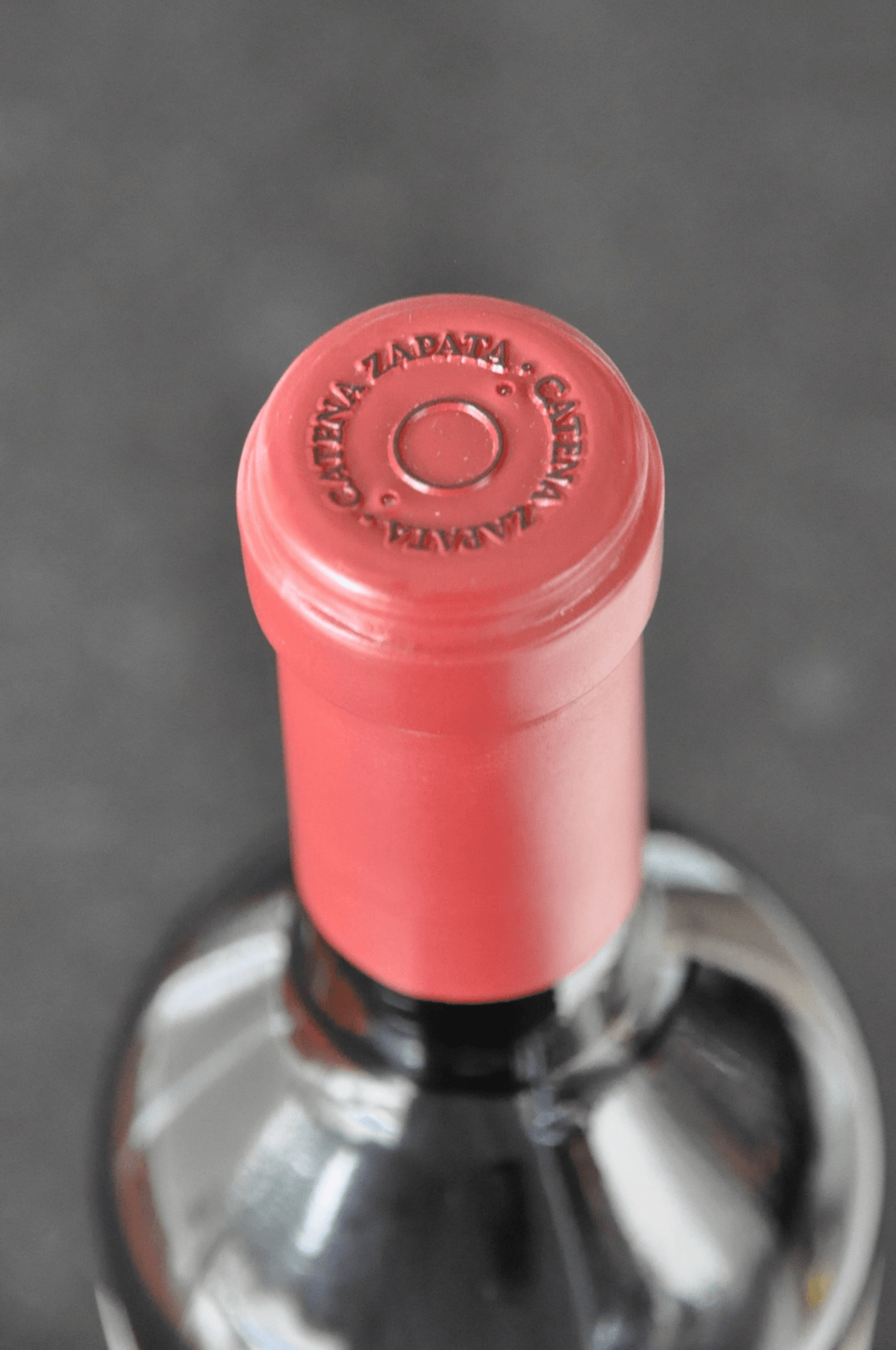 Angelica Zapata Malbec ALTA 2020 - BebaVino