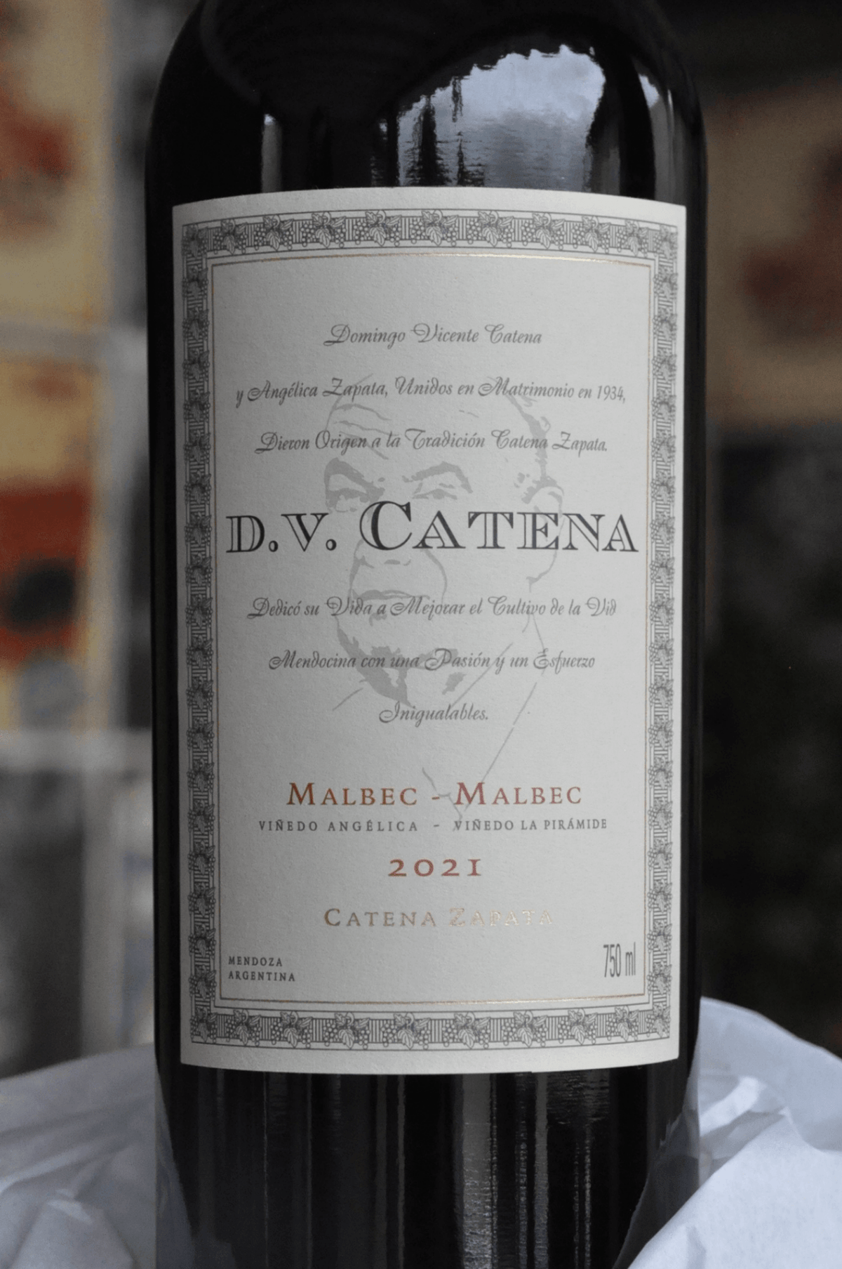 D.V Catena Malbec / Malbec 2022 - BebaVino