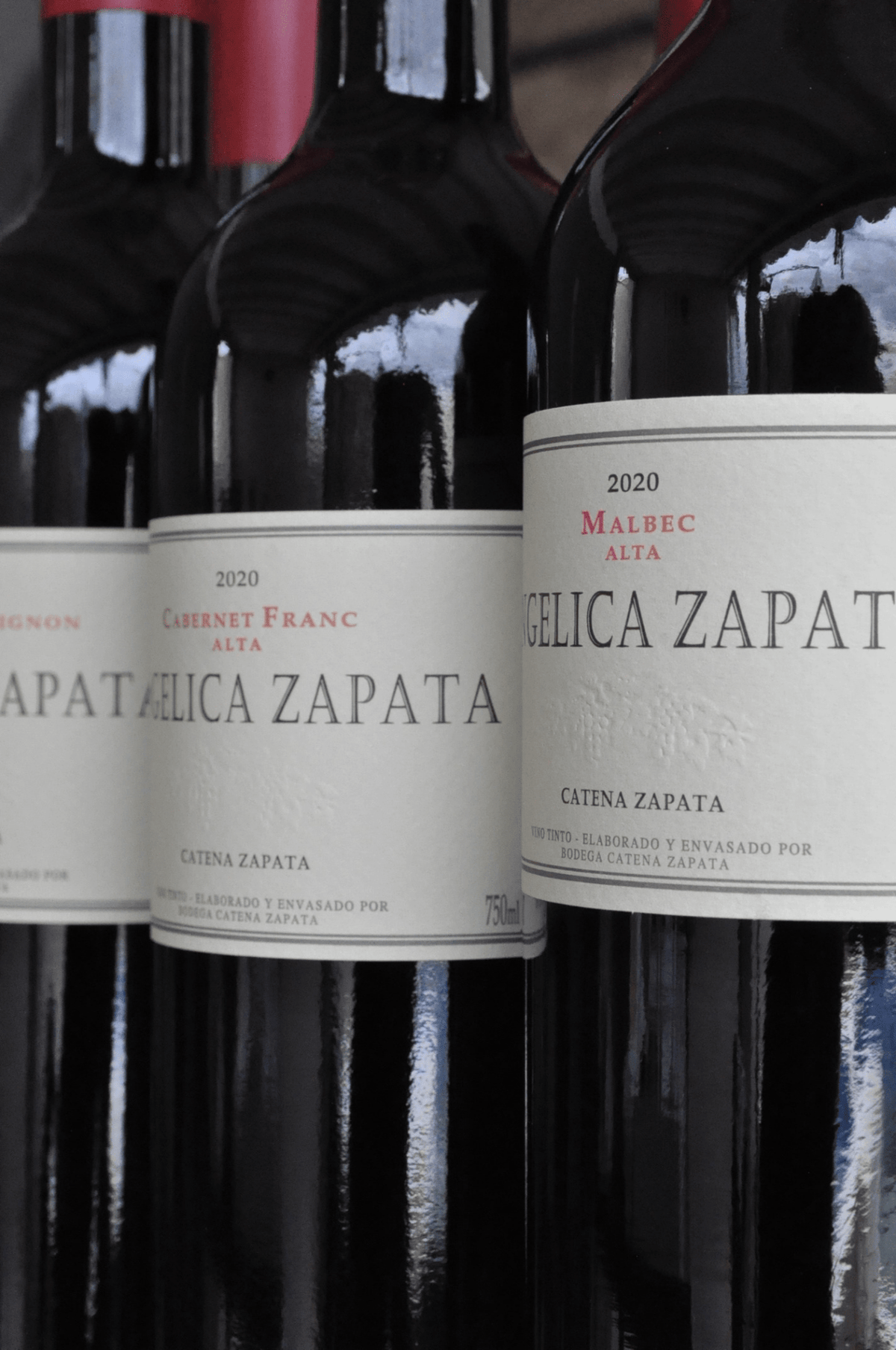 Kit Angelica Zapata 2 Malbecs + 2 Cab. Sauvignon + 2 Cab. Franc - BebaVino