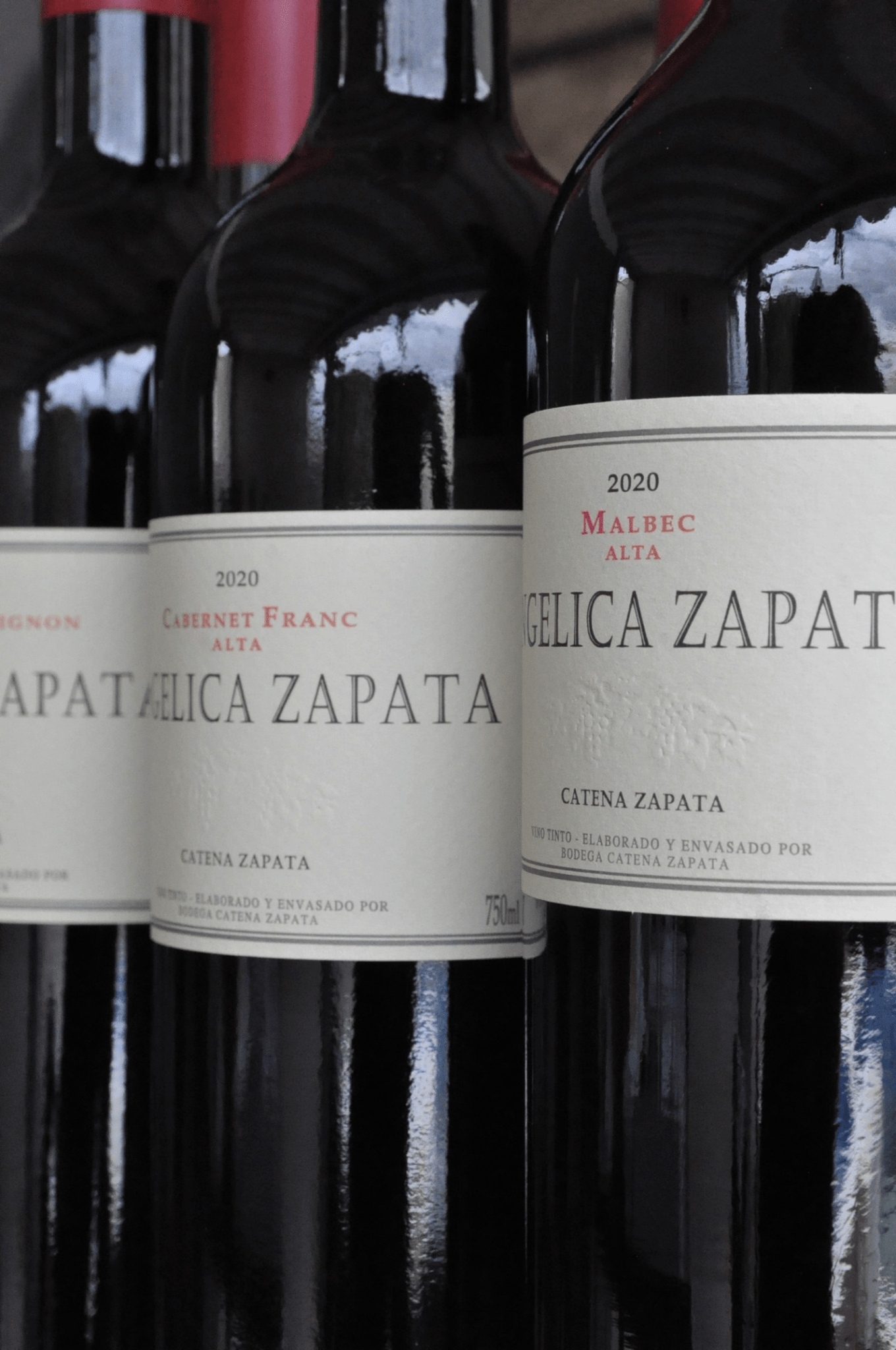 Kit Angelica Zapata 2 Malbecs + 2 Cab. Sauvignon + 2 Cab. Franc - BebaVino