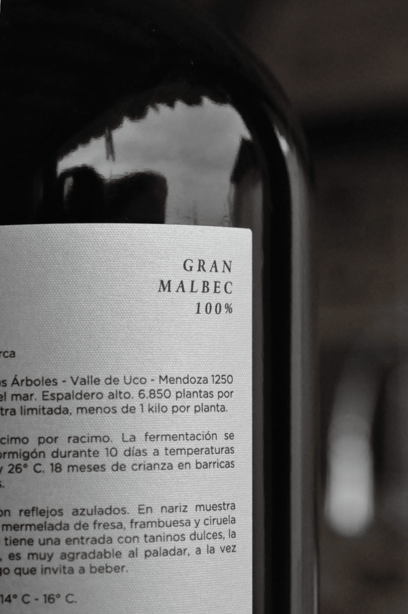 Mauricio Lorca Gran Malbec 2020 - BebaVino