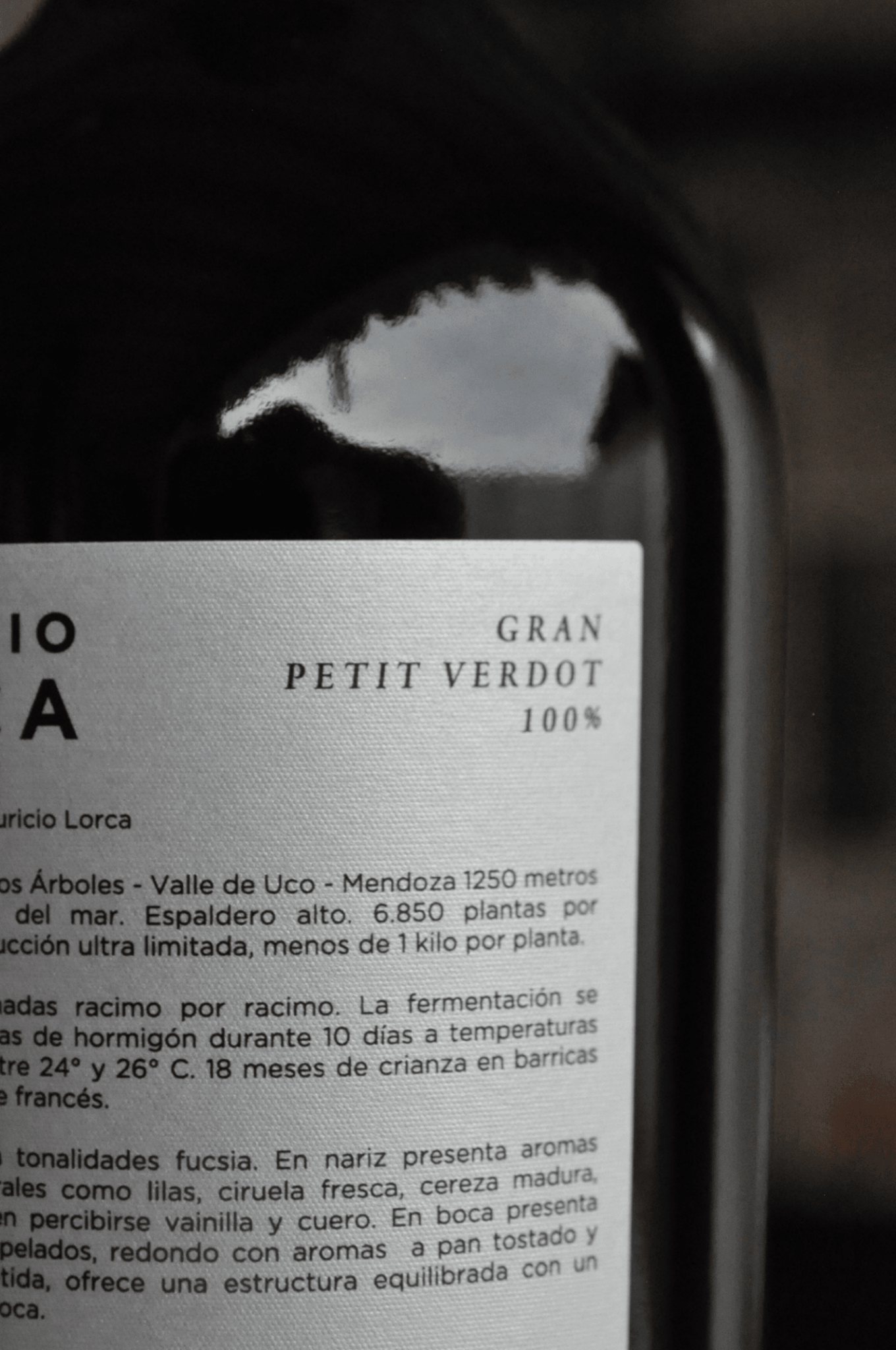 Mauricio Lorca Gran Petit Verdot 2018 - BebaVino