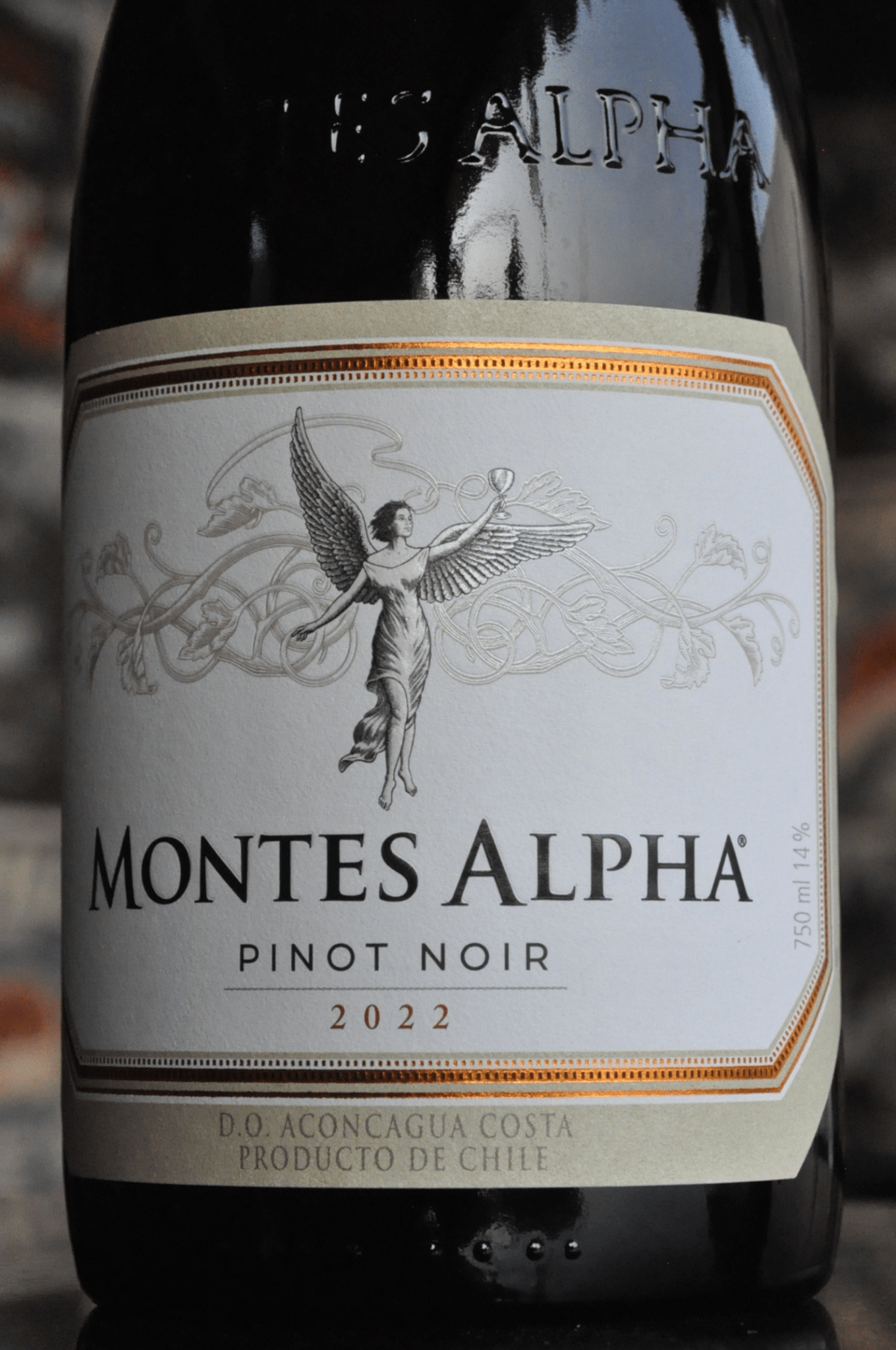 Montes Alpha Pinot Noir 2022 - BebaVino