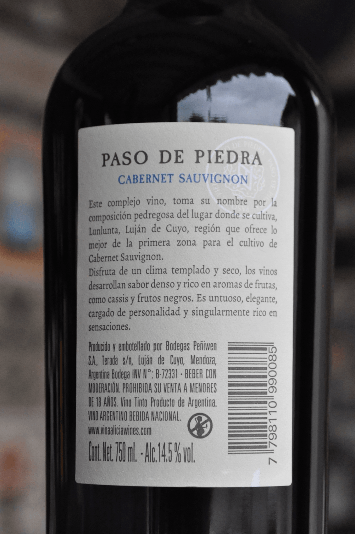 Paso De Piedra Cabernet Sauvignon 2020 - BebaVino