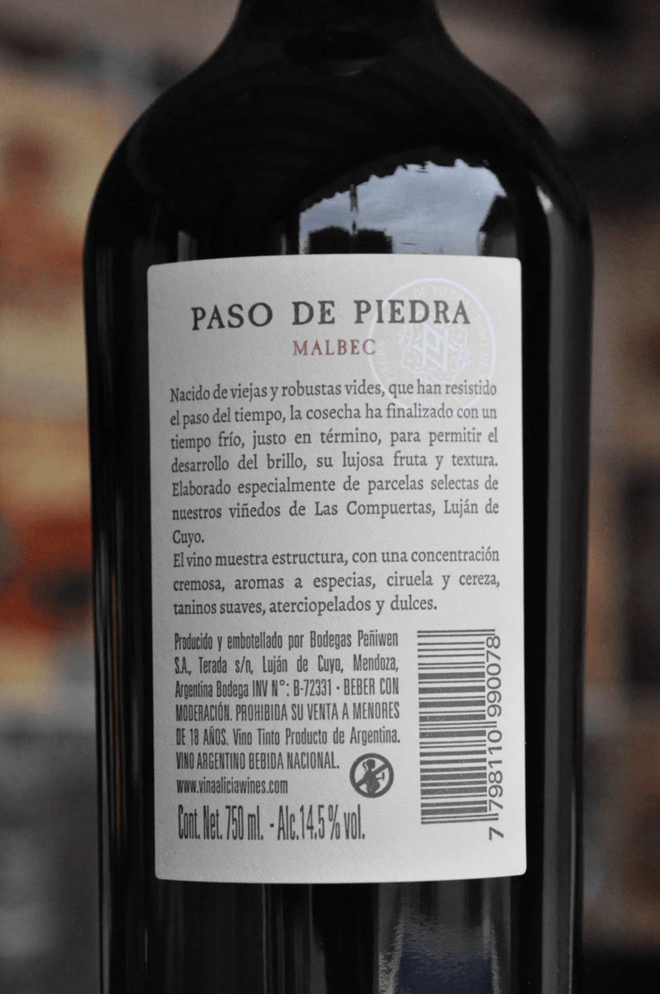 Paso De Piedra Malbec 2020 - BebaVino