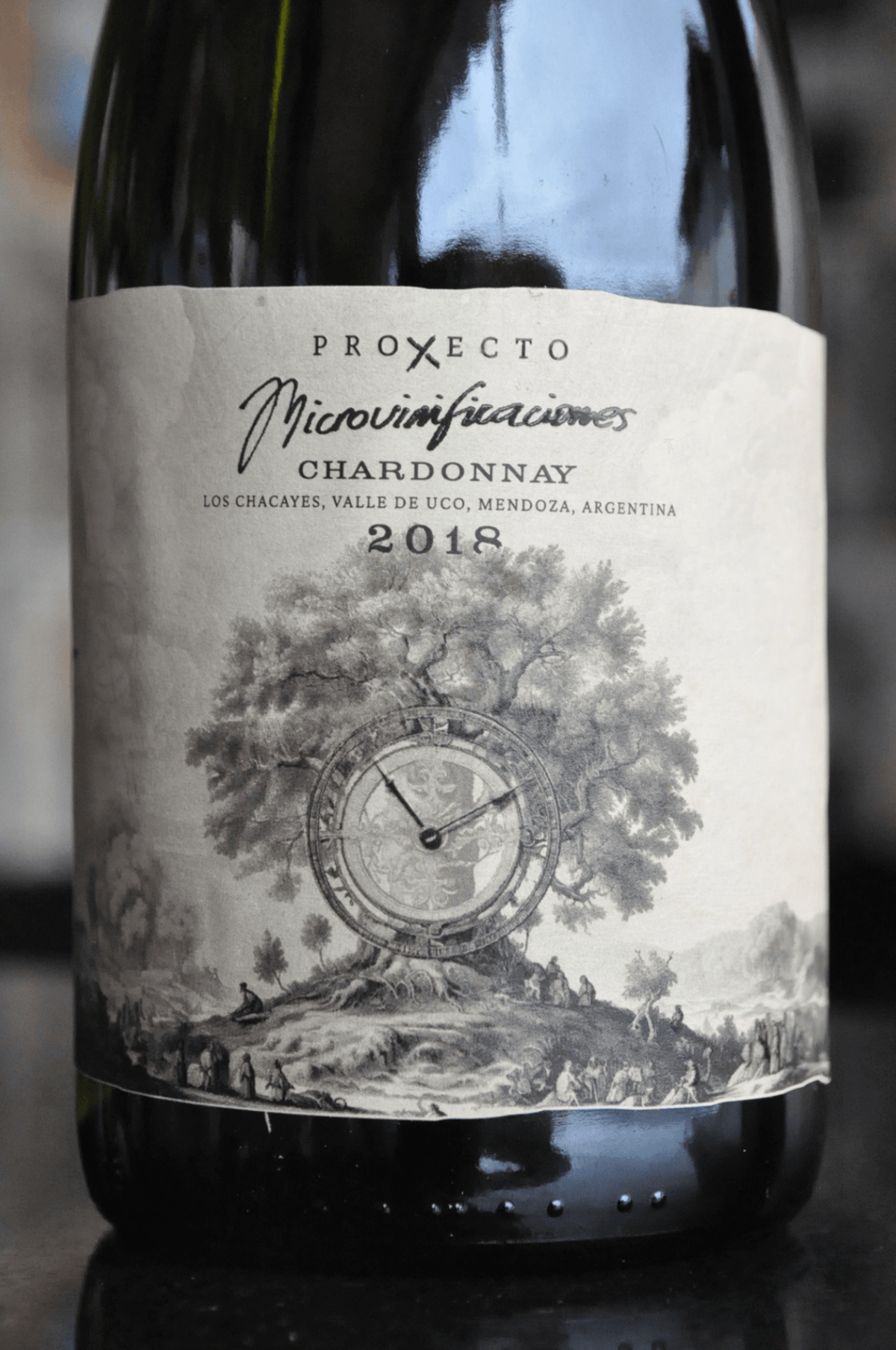 Proxecto Microvinificacão Chardonnay 2018 - BebaVino