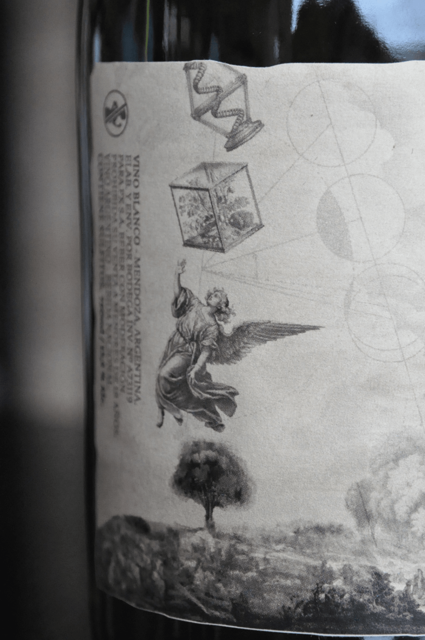 Proxecto Microvinificacão Chardonnay 2018 - BebaVino