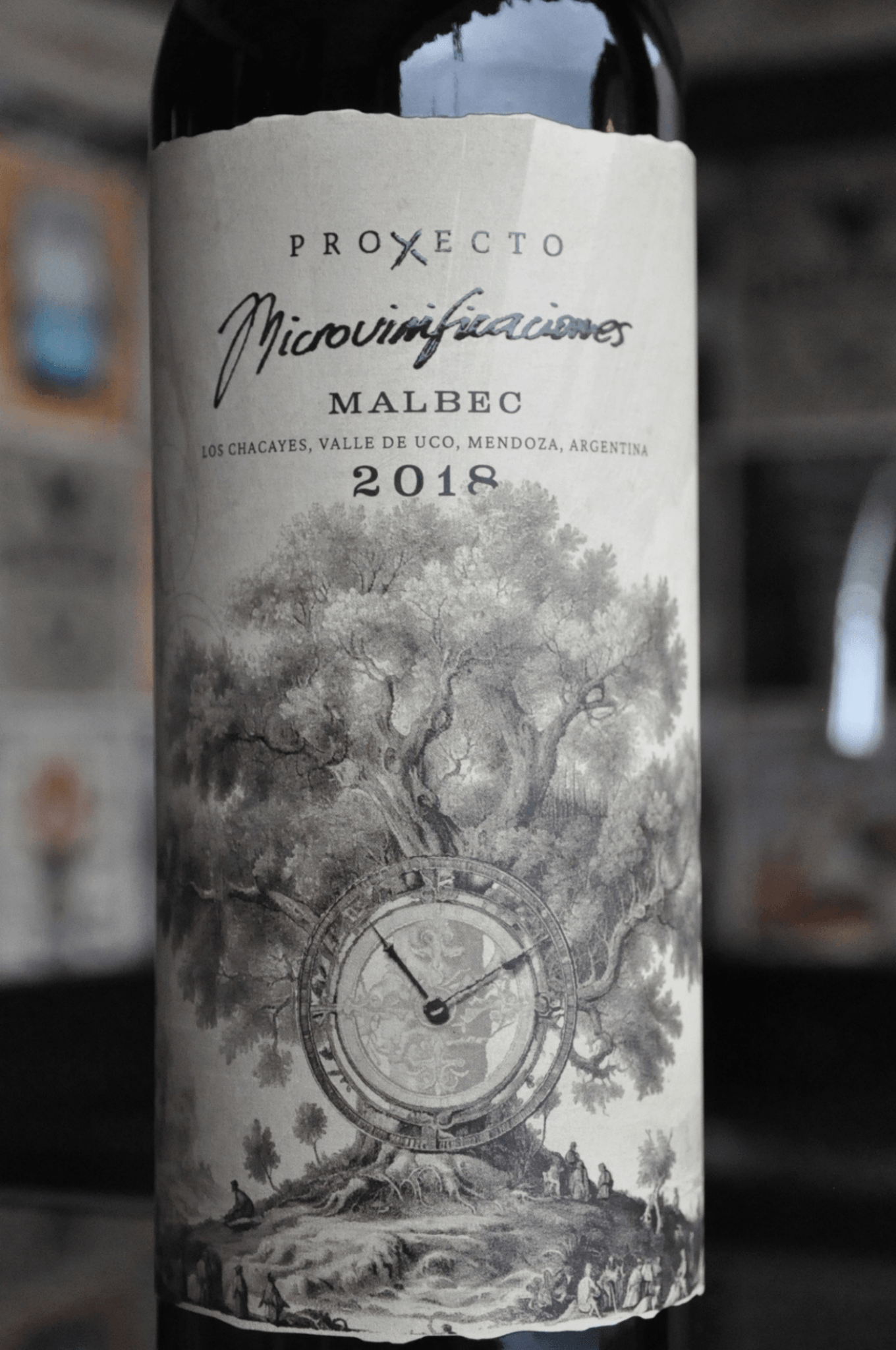 Proxecto Microvinificação Malbec 2018 - BebaVino