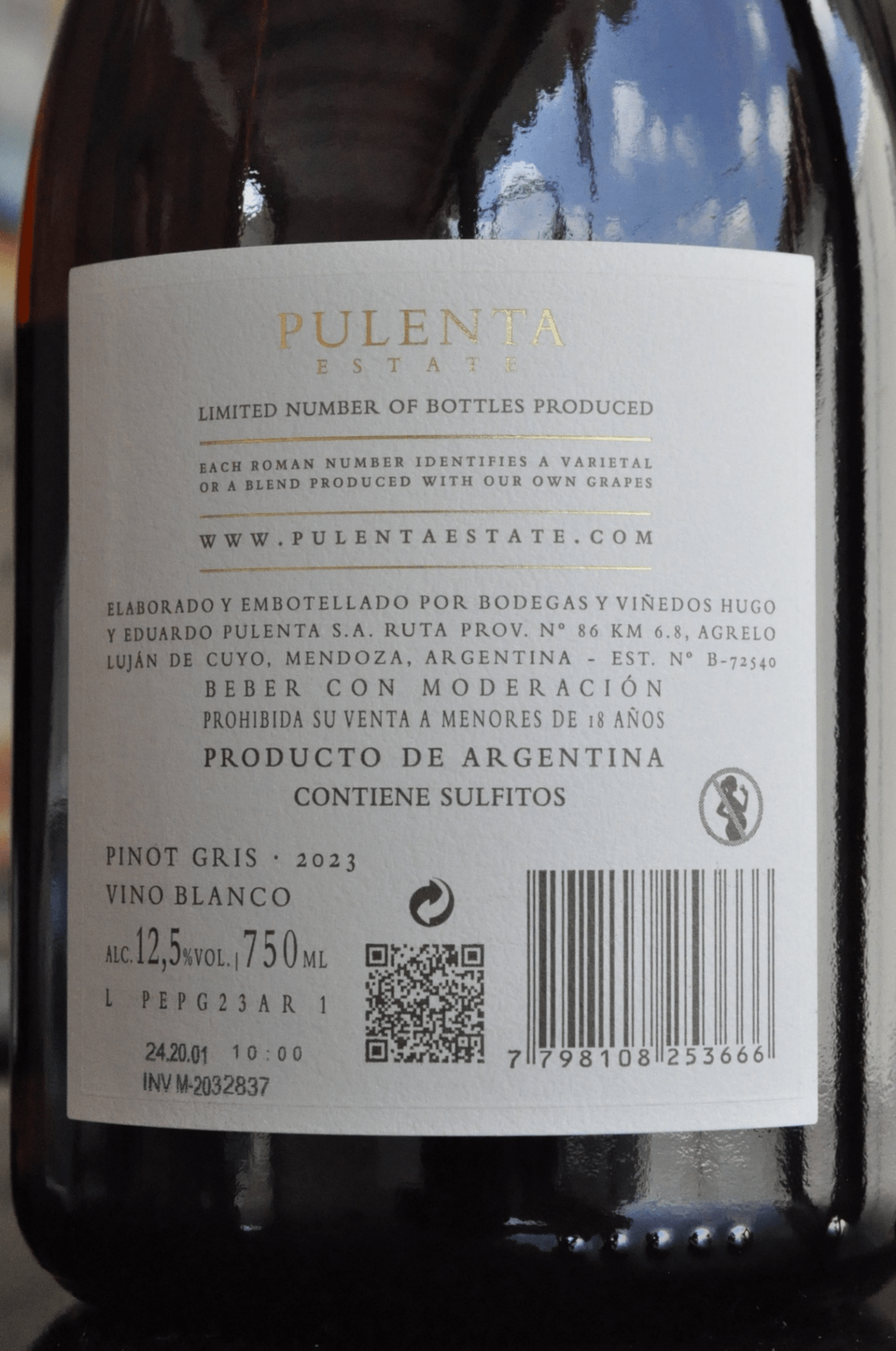 Pulenta Pinot Gris 2023 - BebaVino