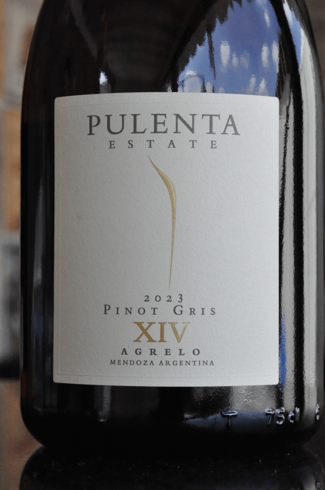 Pulenta Pinot Gris 2023 - BebaVino