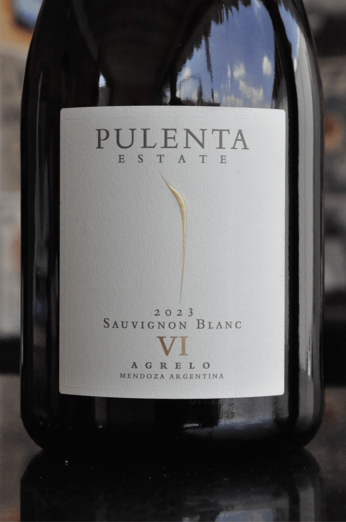 Pulenta Sauvignon Blanc 2023 - BebaVino