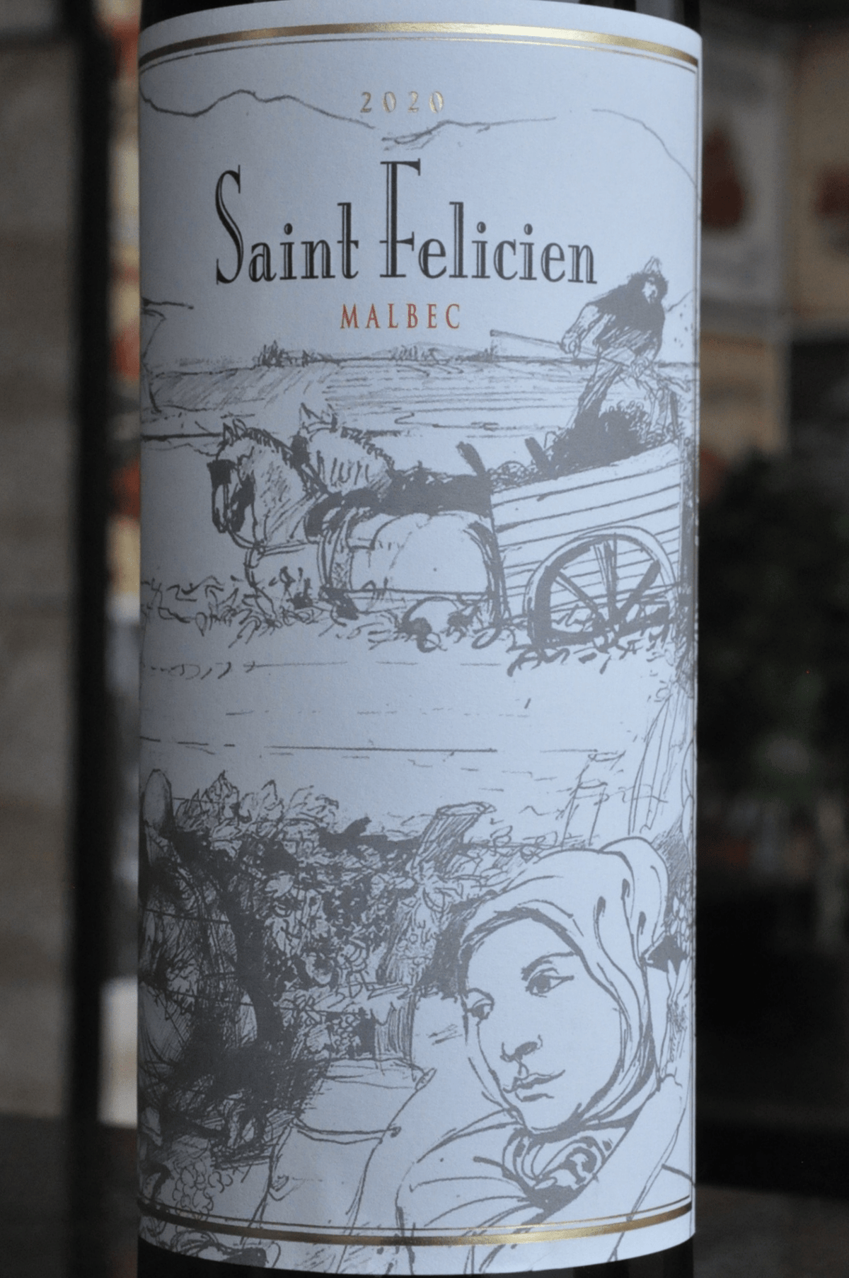Saint Felicien Malbec 2023 - BebaVino