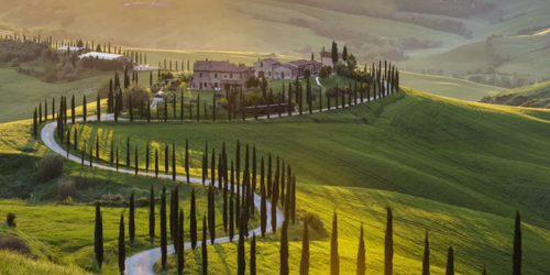 Montalcino
