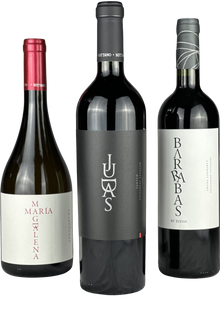Kit Los Bíblicos