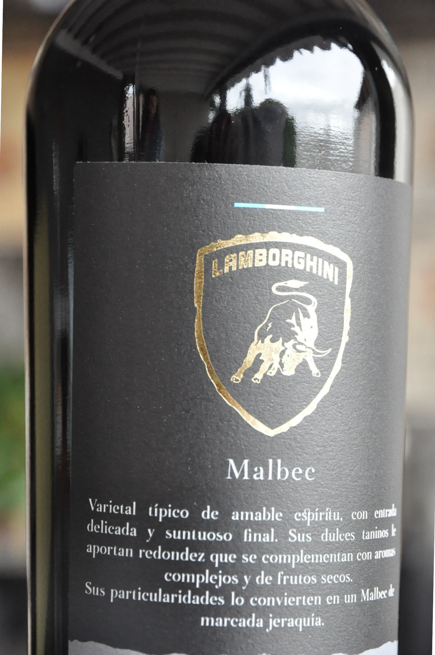 Lamborghini Malbec