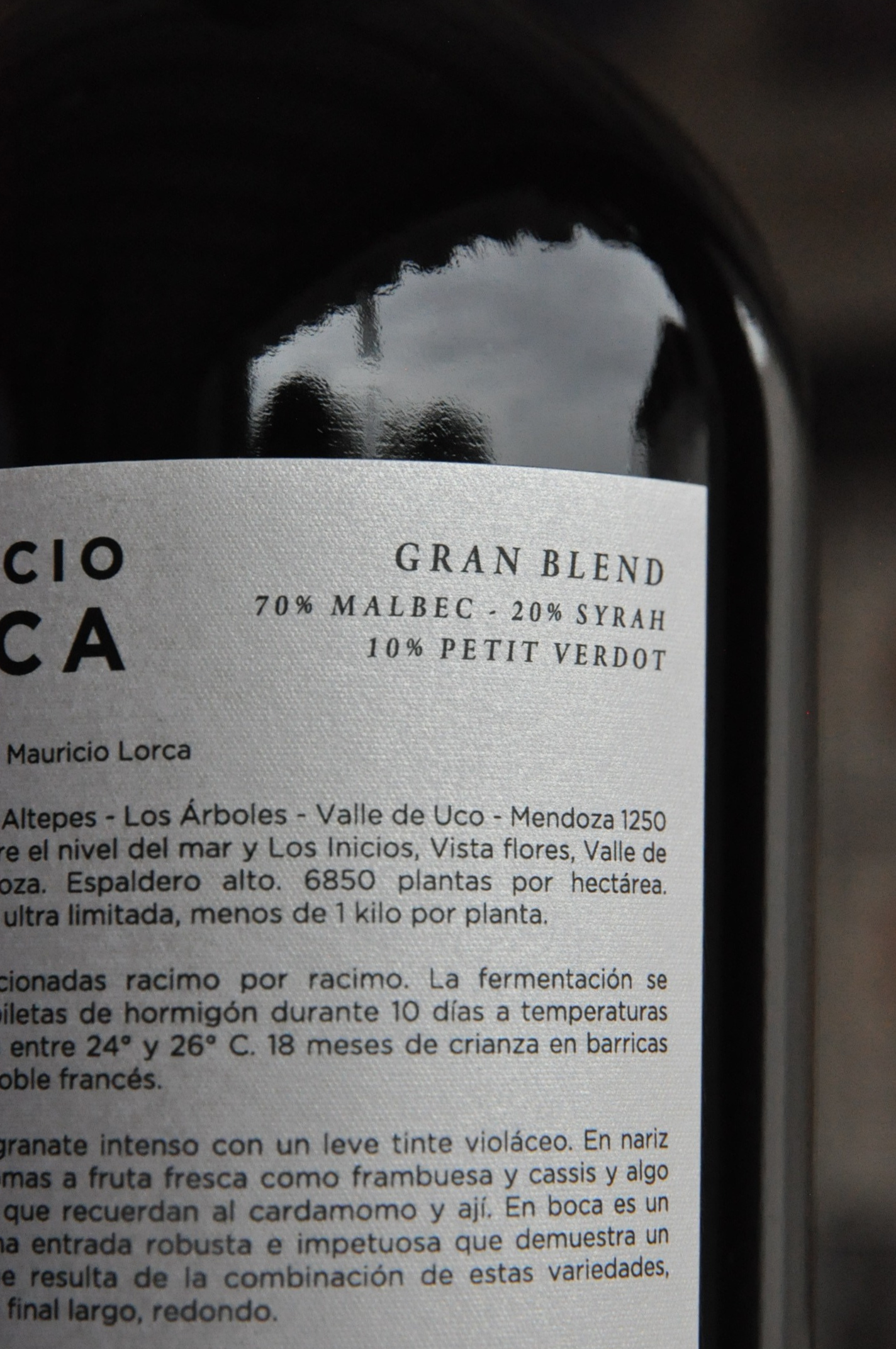 Mauricio Lorca Gran Blend 2019