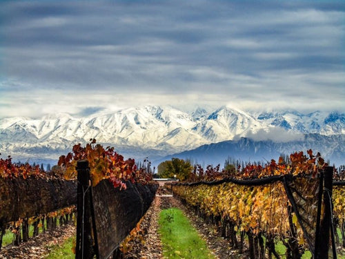 Mendoza