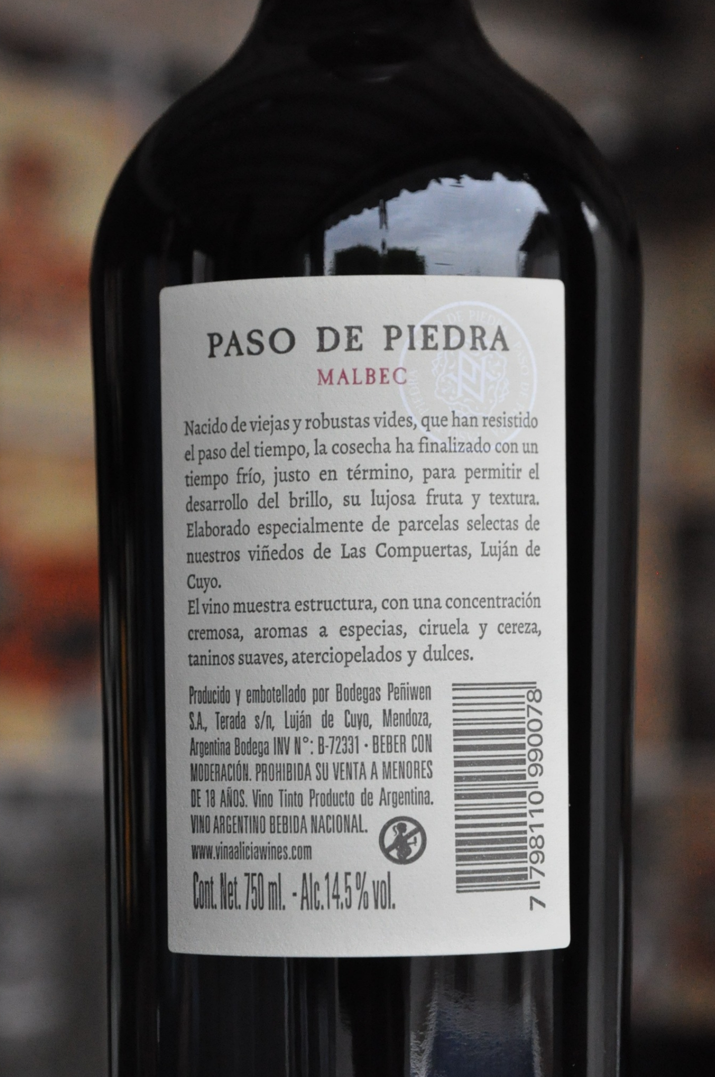 Paso De Piedra Malbec 2020