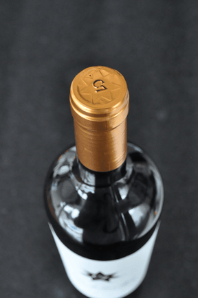 Clos de Los Siete By Michel Rolland 2020 - BebaVino
