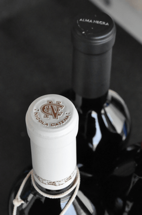 Kit 1 Alma Negra + 1 Nicola Bonarda + 1 Angelica Malbec - BebaVino