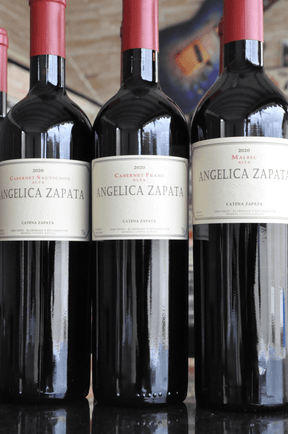 Kit Angelica Zapata 2 Malbecs + 2 Cab. Sauvignon + 2 Cab. Franc - BebaVino