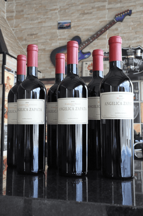 Kit Angelica Zapata 2 Malbecs + 2 Cab. Sauvignon + 2 Cab. Franc - BebaVino
